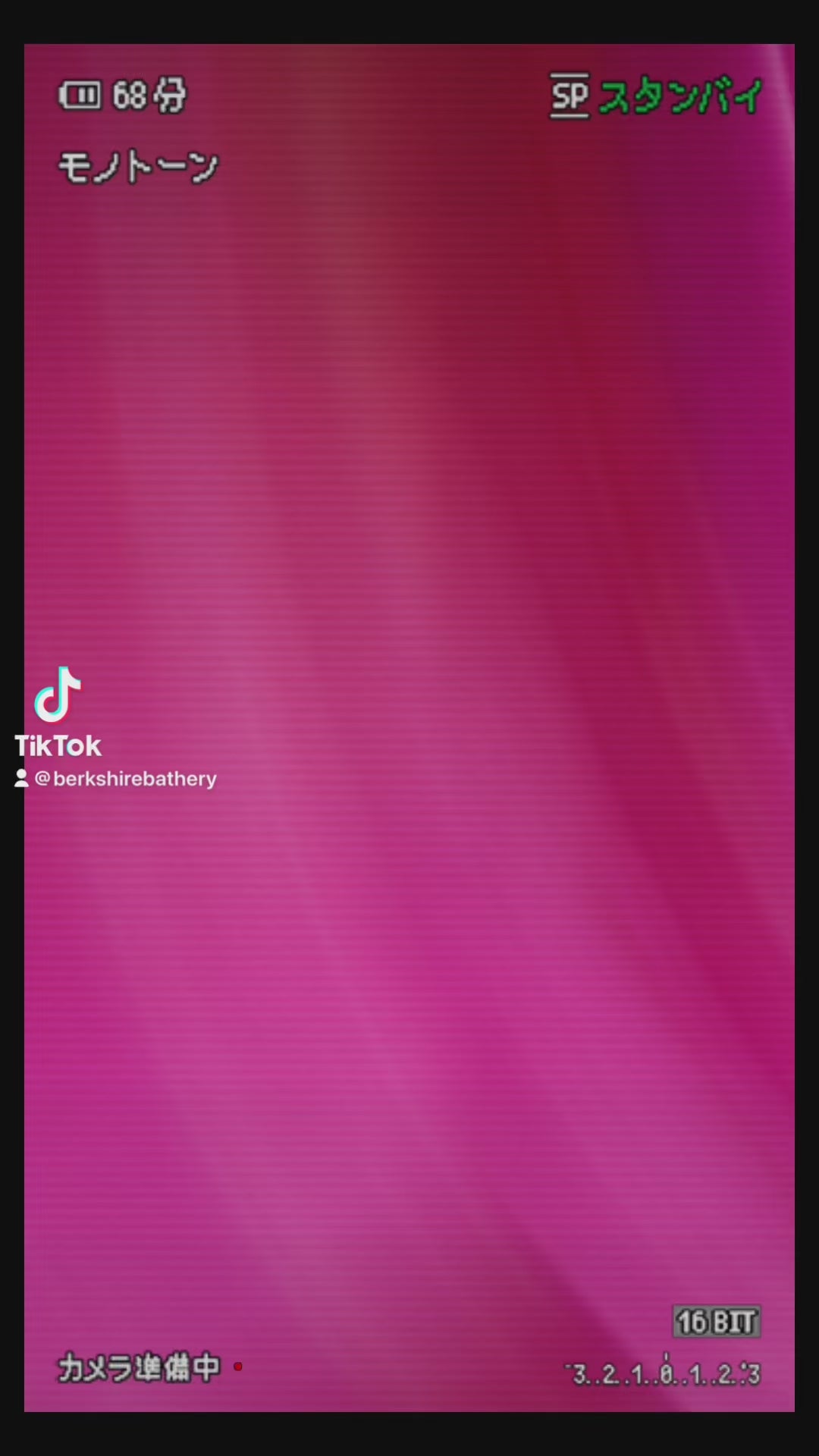 SUNSET BOULEVARD | 16oz Hyaluronic Acid Body Milk Lotion